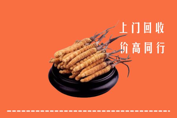 高价求购：民和县回收散虫草