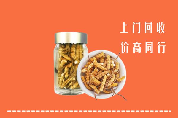 民和县回收冬虫夏草