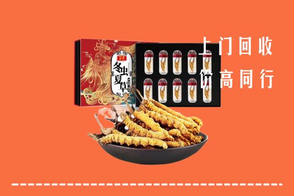 民和县回收虫草
